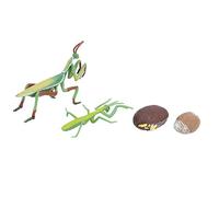 Stylebest Growth Cycle Toy Highly Detailed Educational Cognition Model for Kids Fun Learning 4 Pieces