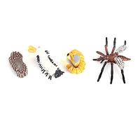 Stylebest Life Cycle Figurines Educational Model Toy for Kids Growth Stages 4 Pieces (#1)