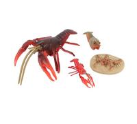Stylebest Lobster Life Cycle Model Set 4 Pcs Realistic Growth Stage Figures for Educational Home Decor PVC