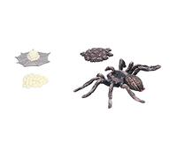 Stylebest Spider Growth Cycle Model with Lifelike Figures for Teaching Kids About Life Cycle, Durable Plastic, 4 Stages Set