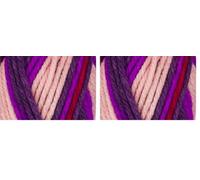 Stylecraft 2213016 Merry Go Round DK Summer Pudding (3016) Yarn - 100g (Pack of 2)