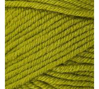 Stylecraft 2893926 Bellissima Chunky Sugar Snap (3926) Yarn - 100g