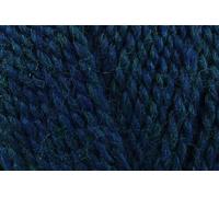 Stylecraft 3011304 Highland Heathers DK Campbell (1304) Yarn - 100g