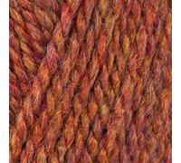 Stylecraft 3017224 Highland Heathers DK Marmalade (7224) Yarn - 100g