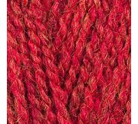 Stylecraft 3017227 Highland Heathers DK Hawthorn (7227) Yarn - 100g