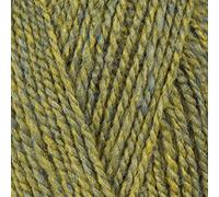 Stylecraft 3017228 Highland Heathers DK Lichen (7228) Yarn - 100g