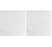 Stylecraft 3107206 New Wondersoft DK White (7206) Yarn - 100g (Pack of 2)