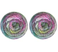 Stylecraft 3376152 Knit Me, Crochet Me Aurora (6152) Yarn - 100g (Pack of 2)