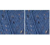 Stylecraft 4035513 Special Aran with Wool Dutch Blue Nepp (5513) Yarn - 400g (Pack of 2)