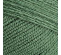 Stylecraft 9033980 Special Aran with Wool Succulent (3980) Yarn - 400g