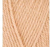 Stylecraft 9035507 Special Aran with Wool Champagne (5507) Yarn - 400g