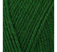 Stylecraft 9037045 Special Aran with Wool Pine (7045) Yarn - 400g