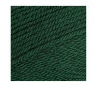 Stylecraft Special DK Bottle (1009) by Stylecraft