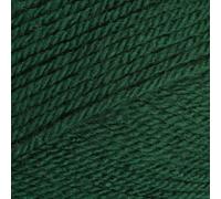 Stylecraft 9041009 Special DK Bottle (1009) Yarn - 100g