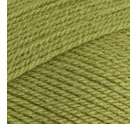 Stylecraft 9041065 Special DK Meadow (1065) Yarn - 100g