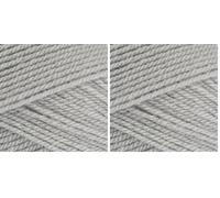 Stylecraft 9041203 Special DK Silver (1203) Yarn - 100g (Pack of 2)