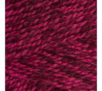 Stylecraft 9041204 Special DK Carnation (1204) Yarn - 100g