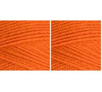 Stylecraft 9041711 Special DK Spice (1711) Yarn - 100g (Pack of 2)