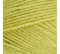 Stylecraft 9041822 Special DK Pistachio (1822) Yarn - 100g