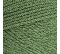 Stylecraft 9041824 Special DK Cypress (1824) Yarn - 100g
