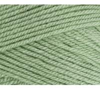 Stylecraft 9041834 Special DK Lincoln (1834) Yarn - 100g
