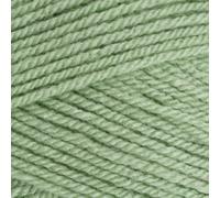 Stylecraft 9041834 Special DK Lincoln (1834) Yarn - 100g
