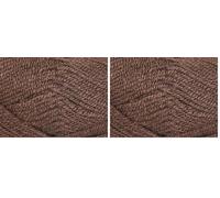 Stylecraft 9051004 Special Aran Dark Brown (1004) Yarn - 100g (Pack of 2)
