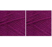 Stylecraft 9051061 Special Aran Plum (1061) Yarn - 100g (Pack of 2)