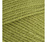 Stylecraft 9051065 Special Aran Meadow (1065) Yarn - 100g