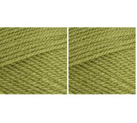 Stylecraft 9051065 Special Aran Meadow (1065) Yarn - 100g (Pack of 2)