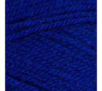 Stylecraft 9051117 Special Aran Royal (1117) Yarn - 100g