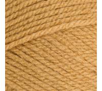 Stylecraft 9051420 Special Aran Camel (1420) Yarn - 100g