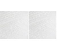 Stylecraft 9061001 Special Chunky White (1001) Yarn - 100g (Pack of 2)