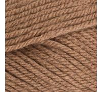 Stylecraft 9061064 Special Chunky Mocha (1064) Yarn - 100g