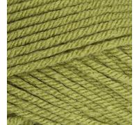 Stylecraft 9061065 Special Chunky Meadow (1065) Yarn - 100g