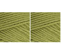 Stylecraft 9061065 Special Chunky Meadow (1065) Yarn - 100g (Pack of 2)