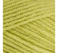 Stylecraft 9061822 Special Chunky Pistachio (1822) Yarn - 100g