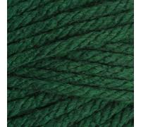 Stylecraft 9101009 Special XL Super Chunky Bottle (1009) Yarn - 200g