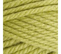 Stylecraft Yarn Special XL Super Chunky 9101822 Pistachio (1822) - 200g