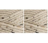 Stylecraft 9131218 Special XL Tweed Parchment (1218) Yarn - 100g (Pack of 2)