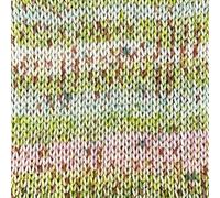 StyleCraft Colour Burst Double Knitting 100g Ball (5350 Pixels)