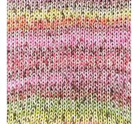 StyleCraft Colour Burst Double Knitting 100g Ball (5351 Festival)