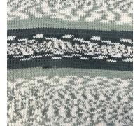Stylecraft Easy Fair Isle Effect Aran 100g (Orkney 5331)