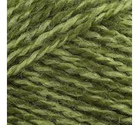 Stylecraft Extra Special DK Knitting Wool / Yarn 100g FREE POST - 1124 GREENGAGE