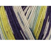 Stylecraft Head Over Heels 4 Ply Sock Yarn 100g - Walking in Nature (Skip 3233)