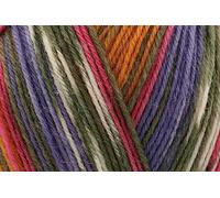 Stylecraft Head Over Heels 4 Ply Sock Yarn 100g - Walking in Nature (Stroll 3234)