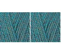 Stylecraft Highland Heathers Aran Yarn Bracken 3747 (Pack of 2)