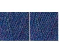 Stylecraft Highland Heathers Aran Yarn Loch 3751 (Pack of 2)
