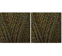 Stylecraft Highland Heathers DK Yarn Moss 3752 (Pack of 2)