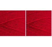 Stylecraft Knitting Yarn/Wool 100g Ball for Knit & Crochet, DK - Lipstick (1246) (Pack of 2)